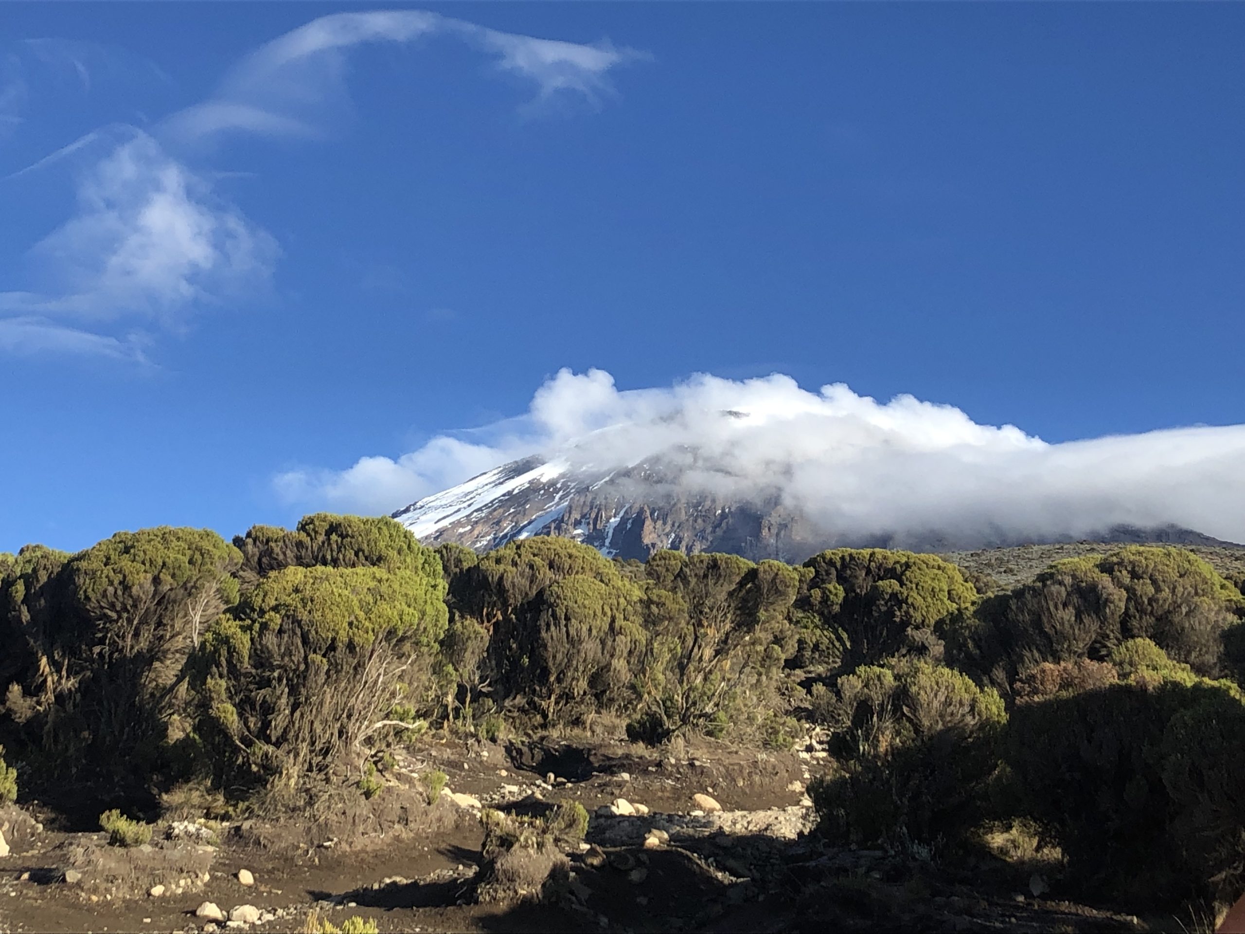 153 687 kroków po Kilimanjaro